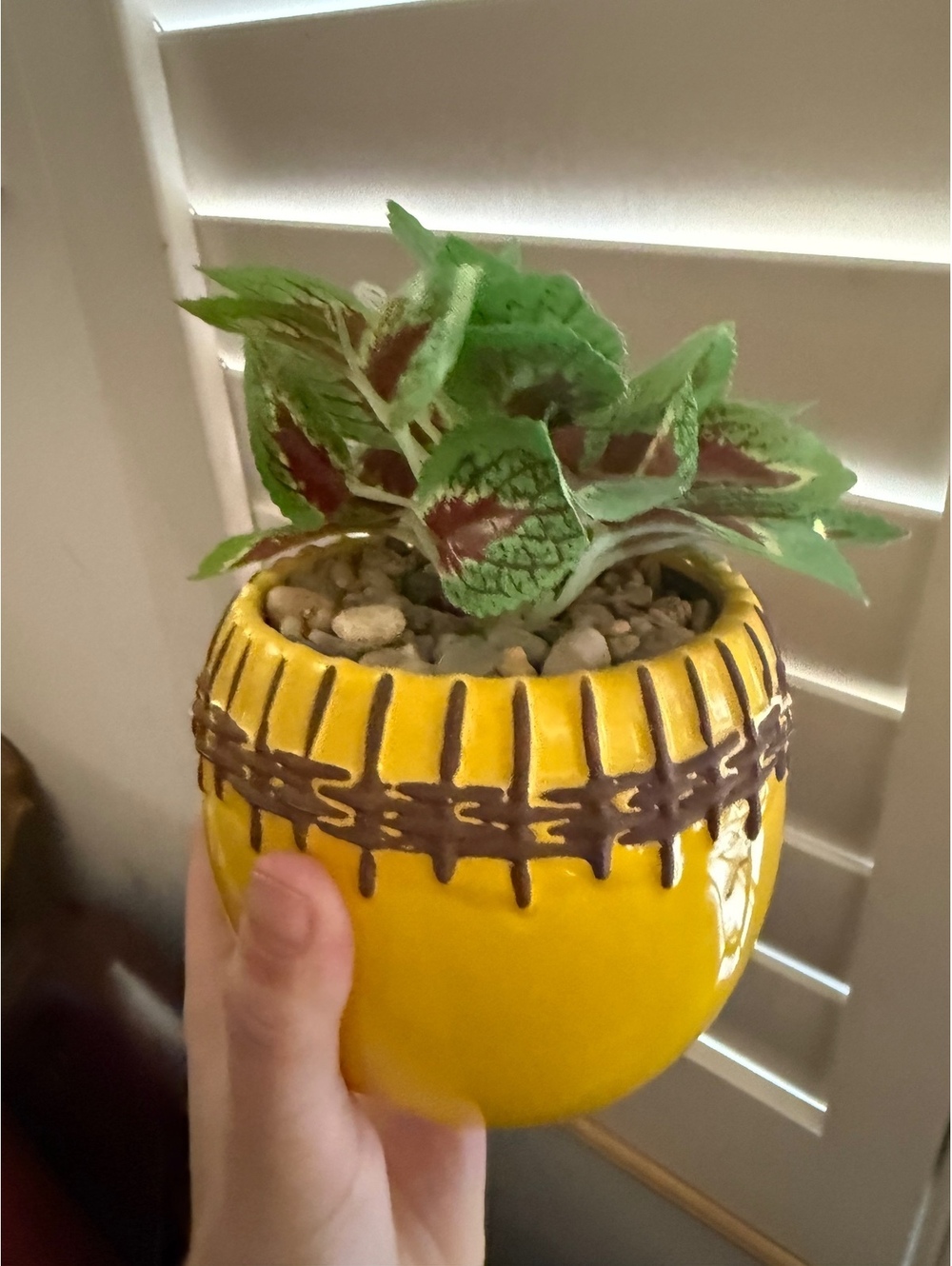 Yellow Fittonia fake plant ceramic pot and rocks